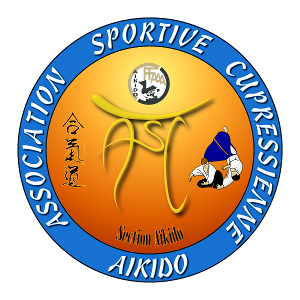 Concours : Nouveau logo de l'ASCA 2010-09_ASCA Vector T2 Aiki (300x300)